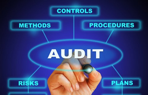 Auditing Services