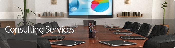 Consulting Projects